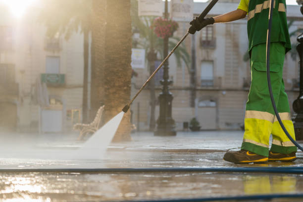 Best Pool Deck Cleaning  in Limesa, CA